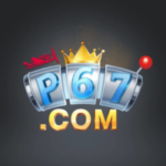 P67 Game